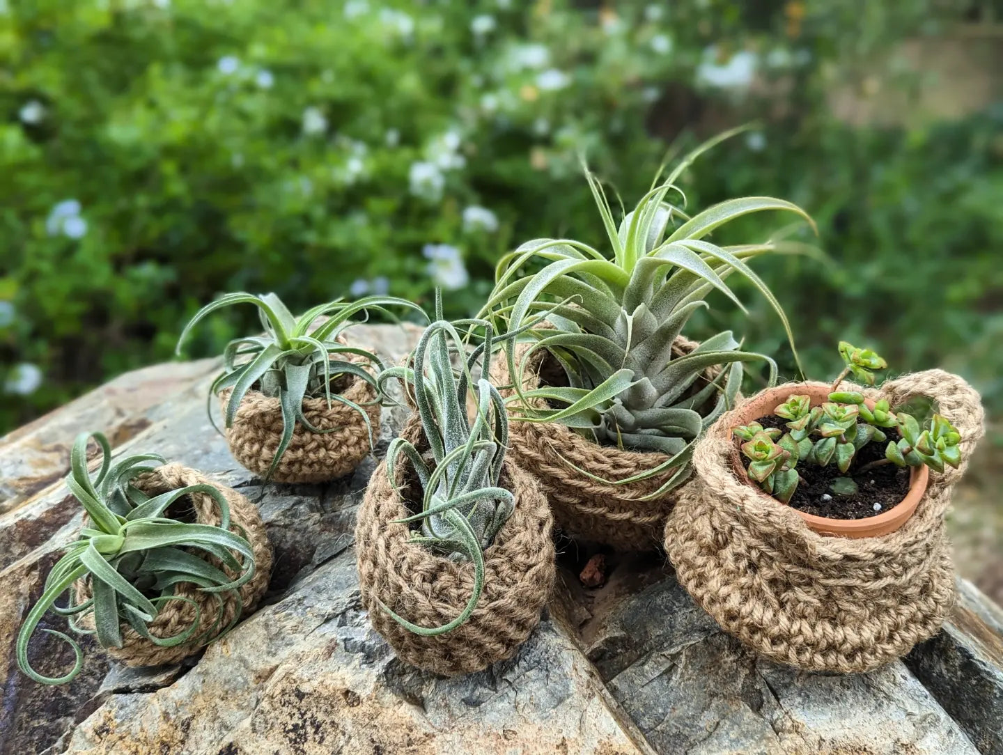 Mini Baskets